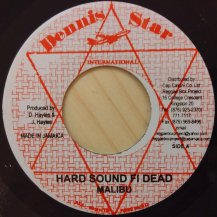 MALIBU - TEDDY IRIE / Hard Sound Fi Dead - Run Come Sound Bwoy (USED)