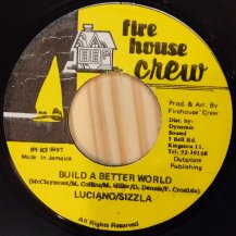 Luciano , Sizzla / Build A Better World (USED)