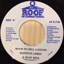 JIGSY KING & HOPETON JAMES / MOOD TO KILL A SOUND (USED)