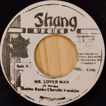 SHABBA RANKS & CHEVELLE FRANKLIN / MR LOVER MAN (USED)