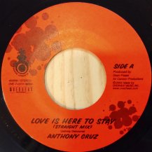 ANTHONY CRUZ / LOVE IS HERE TO STAY (USED)