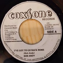 BOB ANDY / I'VE GOT TO GO BACK HOME (USED)