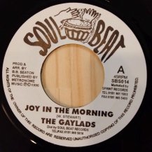 The Gaylads / Joy In The Morning (USED)
