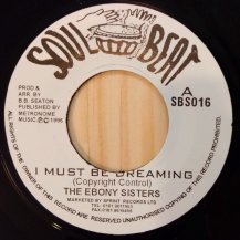 THE EBONY SISTERS /  I MUST BE DREAMING (USED)