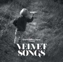 V.A. / VELVET SONGS -LP-