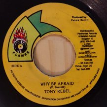 Tony Rebel / Why Be Afraid (USED)