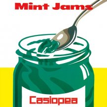 CASIOPEA / MINT JAMS -LP- (ꥢ꡼󡦥ʥ)