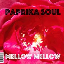 ڥбʡPaprika Soul / Mellow Mellow / Too Much Love Makin' (3ͽ)