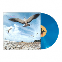  / SEYCHELLES -LP- (ꥢ֥롼ʥ) (180G) (7ͽ)