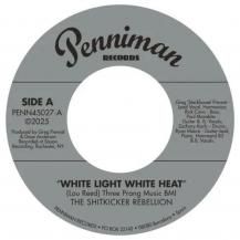 SHITKICKER REBELLION / WHITE LIGHT WHITE HEAT / 99TH FLOOR (5ͽ)