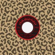 HOLLIE COOK / NIGHT NIGHT (5ͽ)