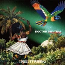 ڥбʡDoctor Rhythm / I Feel It Rising -LP- (8ͽ)