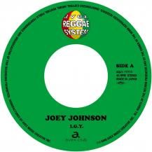 ڥбʡJOEY JOHNSON / I.G.Y. / RIGHT HERE WAITING (8ͽ)