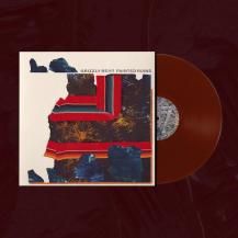 Grizzly Bear / Painted Ruins -2LP- (10ͽ)