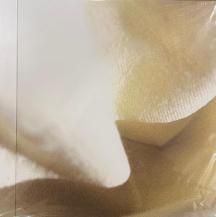 ͥ / 褹 -LP- (USED)