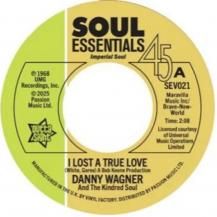 DANNY WAGNER / I LOST A TRUE LOVE / THIS THING CALLED LOVE (8ͽ)