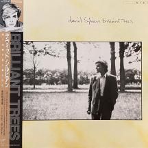 DAVID SYLVIAN / BRILLIANT TREES -LP- (USED)