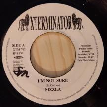 Sizzla / I'm Not Sure (USED)