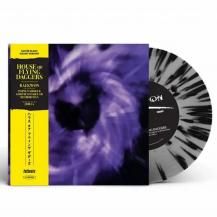 RAEKWON / HOUSE OF FLYING DAGGERS (9ͽ)