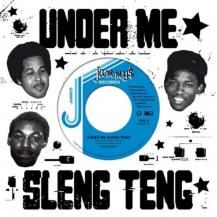 WAYNE SMITH / UNDER ME SLENG TENG (8ͽ)