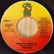 Jahmali / What's Going On (USED)