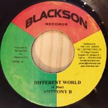 Anthony B - Dia / Different World - World Needs (USED)