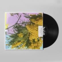 Four Tet / INTO DUST (STILL FALLING) (̸) (9ͽ)