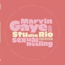 Marvin Gaye & Studio Rio / Sexual Healing (Studio Rio Version) (10ͽ)