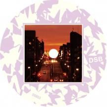 SLOW MOTION REPLAY PRESENTS DUNK SHOT BROTHERS / WIND SILHOUETTE / RUBY (8ͽ)