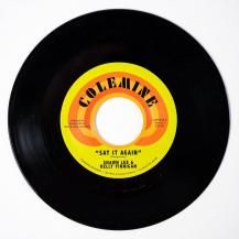 SHAWN LEE & KELLY FINNIGAN / SAY IT AGAIN / HARPSICHORD ROCK (10ͽ)
