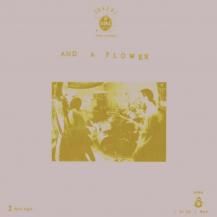 椎名★値下げ可能☆　ばかのうた LP CATEGORY レコード | 平凡