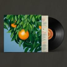 ◾️希少高音質12インチ盤◾️IAN McNABB / イアンマクナブ◾️Go Int 7INCH | レコード・CD通販のマンハッタンレコード通販サイト