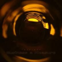 LOVELOCK / BUSINESS AND PLEASURE -LP- (11ͽ)