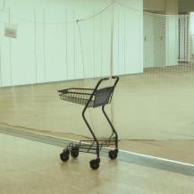 ڥбʡohayoumadayarou / ˤʤ -LP- (12ͽ)