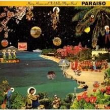  & ޥåХ / Ϥ餤 -LP- (10ͽ)