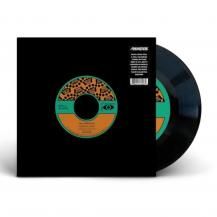 ANIMEROS / GOZALO / TERLINGUA (12ͽ)