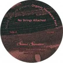 THEO PARRISH / ORAGANIC HARDWARE PT2 -2LP- (11ͽ)
