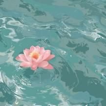 aimi / Still Here For Love (2ͽ)