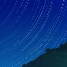 �������� / ��Ϥ��Τޤʤ��������ή��� -LP- (180G) (4��������ͽ��)