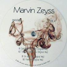 MARVIN ZEYSS / CATCHING THE LIGHT