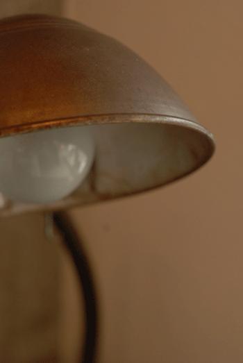 ����Źͽ����ա�2026ǯ1��