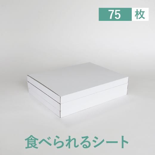 ùǥץ󥨥ǥ֥ڡѡ75祻å 1礢388.8