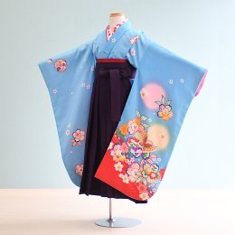 女児袴レンタル（7-1-ha_m4）6〜7歳　水色/桜･蝶|紫/無地