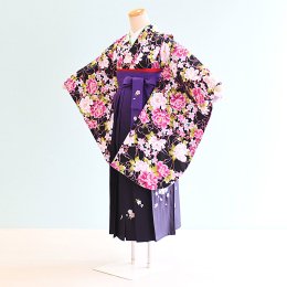 女児ジュニア袴レンタル（JG-9）12〜13歳　黒/バラ・しゃくやく|紫/ぼかし・桜