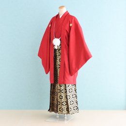 卒業式男性袴レンタル（DH0065）6号　赤|黒・金/紋