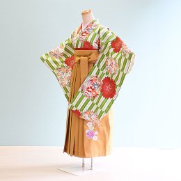 女児ジュニア袴レンタル（JG0018）12〜13歳　黄緑×白/桜・矢絣|カラシ/刺繍・花　ヒロミチナカノ