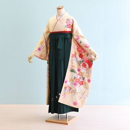 卒業袴レンタル（FH0338）LL寸　黄/古典|緑/刺繍