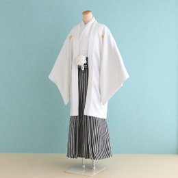 卒業式男性袴レンタル（DH0084）6号　白|グレー・黒/縞