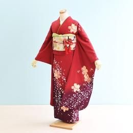 뺧µ󥿥17-035/
