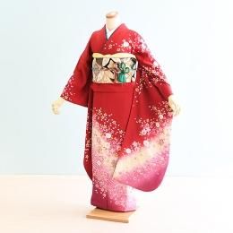 ͼµ󥿥17-016/